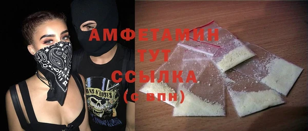 гашик Алексин