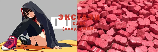 гашик Алексин