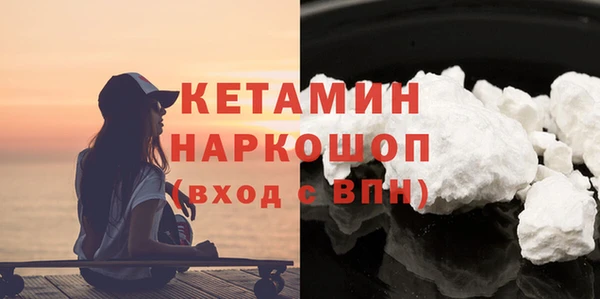 гашик Алексин