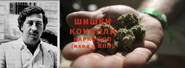 гашик Алексин