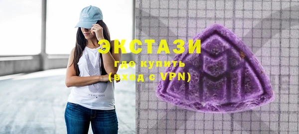 гашик Алексин